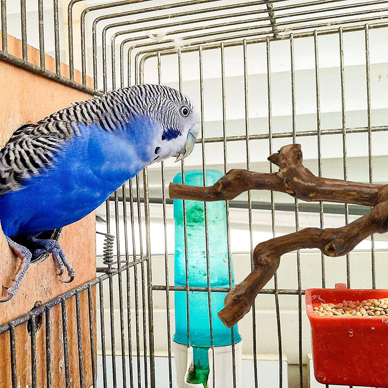Bird Branch Station Stick Grape Station Stick Bird Cage Accessories Bird Toys Bite Cross Border Set Parrot Toys