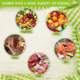 Vegetable and Dried Fruit Machine Food Dehydrator Household 110V Fruit Dryer Pet Food Hot Air Dryer Amazon