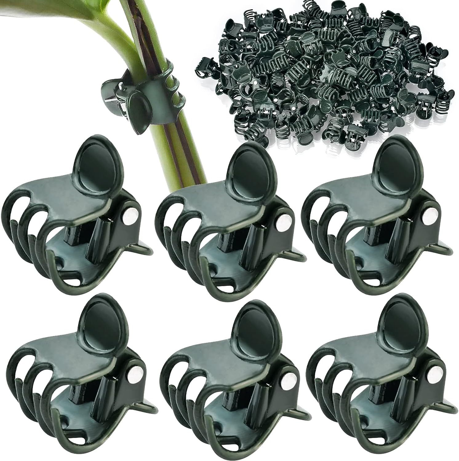 Amazon 100 plant clips flower fixed clip plant climbing vine orchid clip gardening support clip Flower Vine clip
