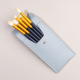 Star 5 eye shadow brush empty bag "blue bag]