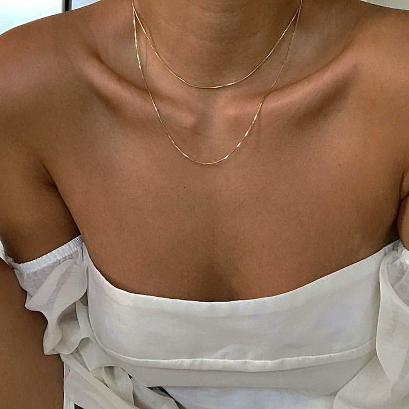 European and American Cross-border Stacked Wear Simple Niche Design Sense Women's Necklace Clavicle Chain Double-layer Chain Thin Snake Bone Chain Necklace