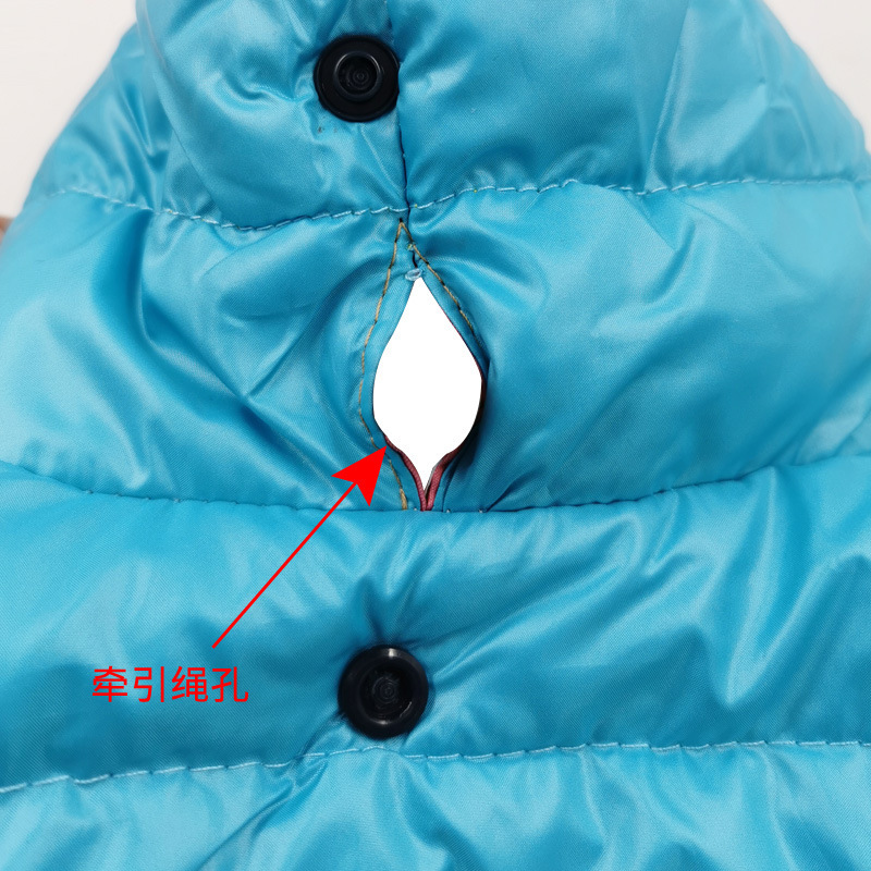 New Pet Clothes Autumn and Winter Cotton Coat Dog Clothes Teddy Small and Medium Dog Warm Contrast Cotton Coat Coat Pet Supplies