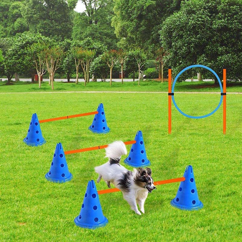 Pet Products Dog Agility Training Set Jumping Ring Jumping Rod Combination Obstacle Training Rod-winding Dog Training Equipment