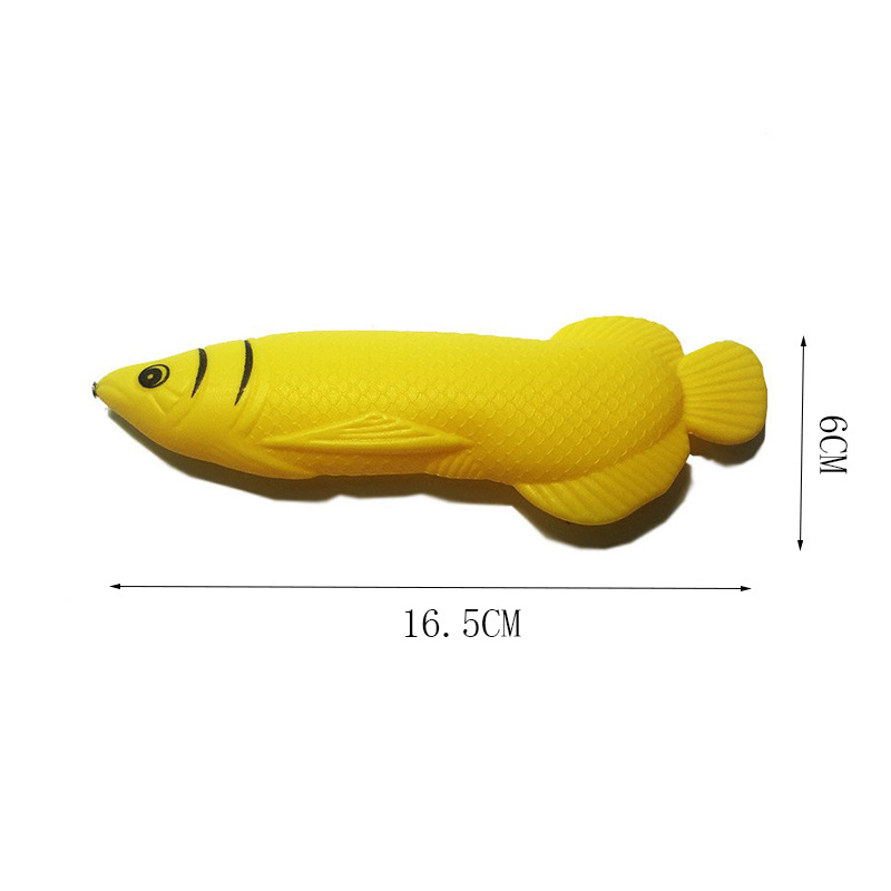 Big Golden Dragon Fish