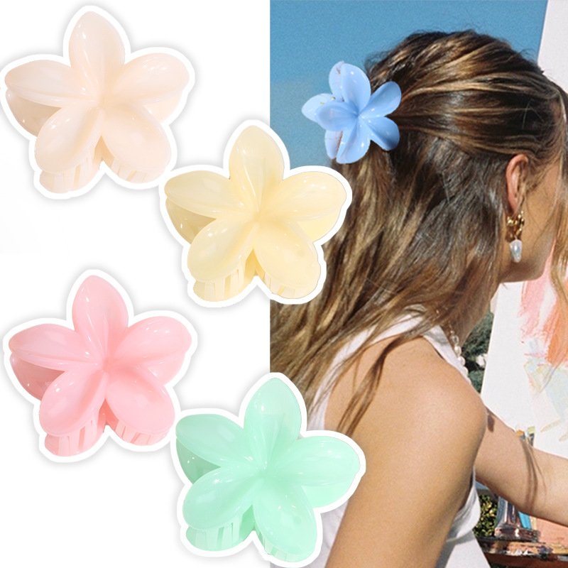 Cross-border hot-selling flower grab clip simple solid color back head claw small fresh hair accessories Joker adult headdress wholesale