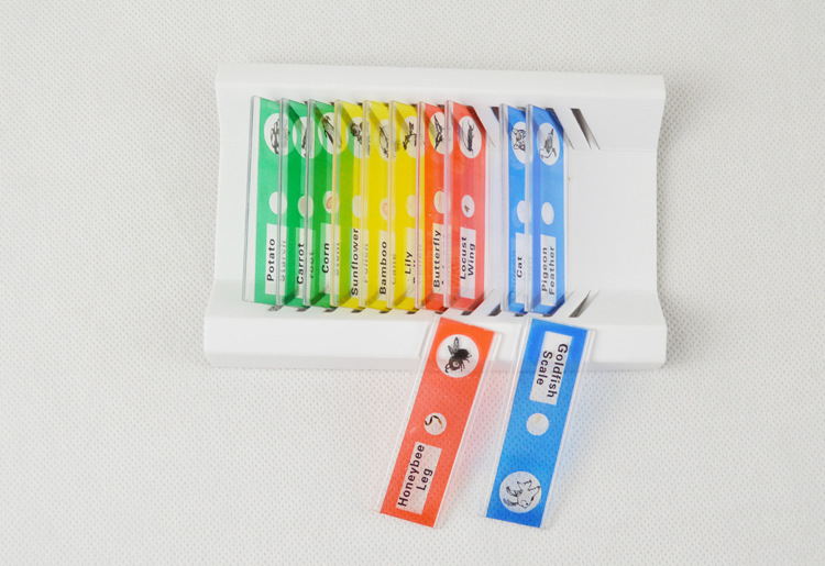 Children's microscope 12 slide accessories slice full Set animal and plant insect specimen scientific experiment toy accessories