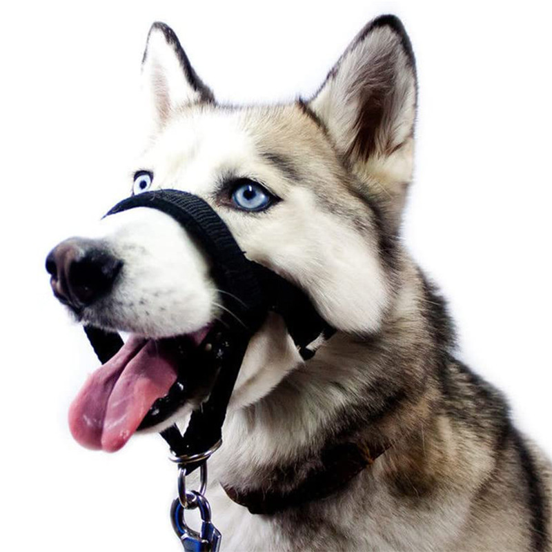 Dog Muzzle nylon anti-bite anti-barking adjustable breathable dog muzzle Amazon cross-border pet mask