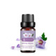 Single: white musk white musk 10ml