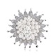 Silver Pearl Sunflower