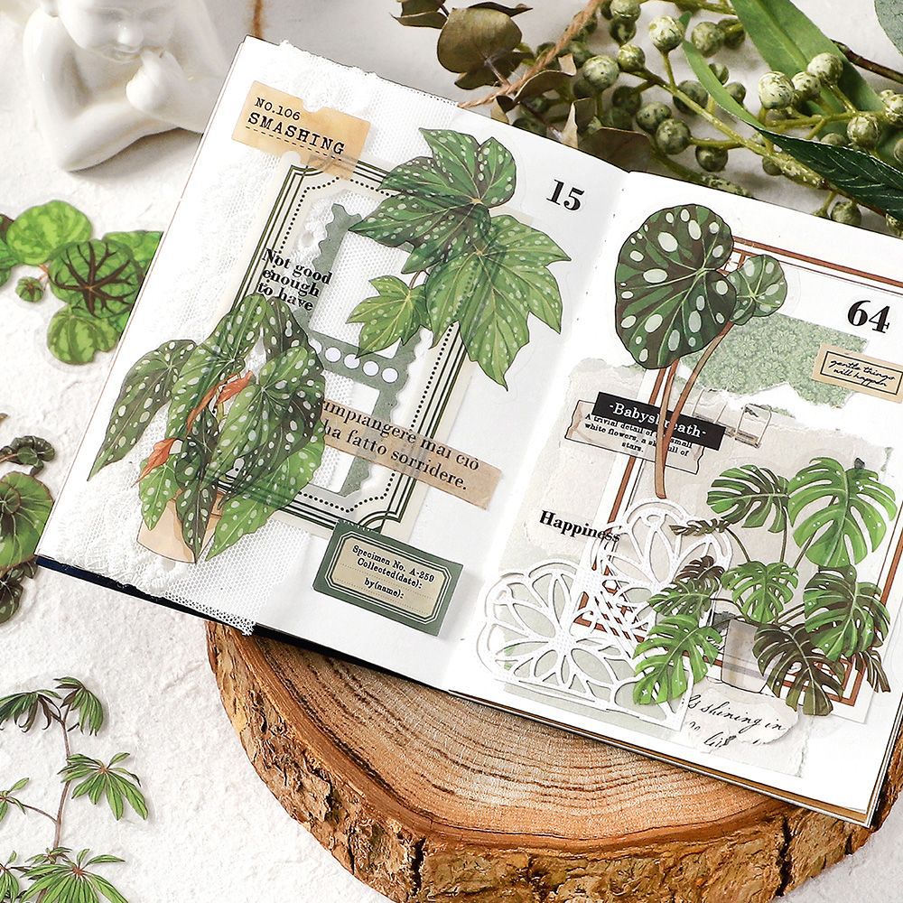 infeelmePET stickers package Green Plant Research Institute series plant hand account DIY material decorative stickers 30 pieces