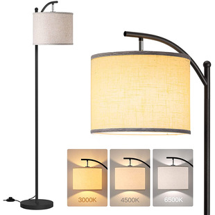 Amazon Modern American Style Simple led Living Room Floor Lamp Nordic Internet Celebrity Study Bedside Lamp Bedroom Floor Lamp