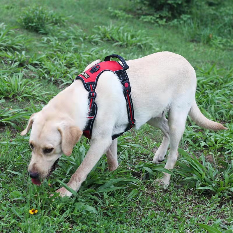 新しい大型犬ペット用品胸バック牽引ロープ反射防爆ゴールデンレトリバーサモエドラブラドール|undefined