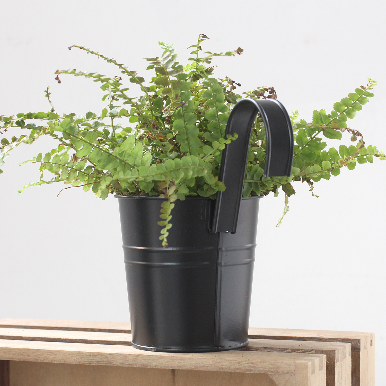 Cross-border Amazon ins Simple Black and Old Tin Flower Bucket Flower Bucket with Removable Hook Decorative Flower Flower Bucket