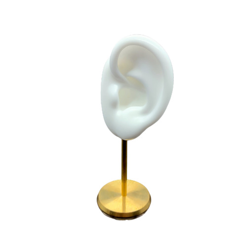 Earrings Display Stand Silicone Ear Model Puncture Ear Picking Teaching Headset Hearing Aid Display Stand Practice Puncture
