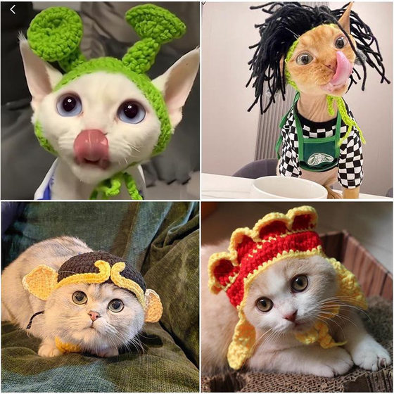 Pet Headgear Cat and Dog Knitted Hat cospaly Props Headdress Funny Transformation Clothing 