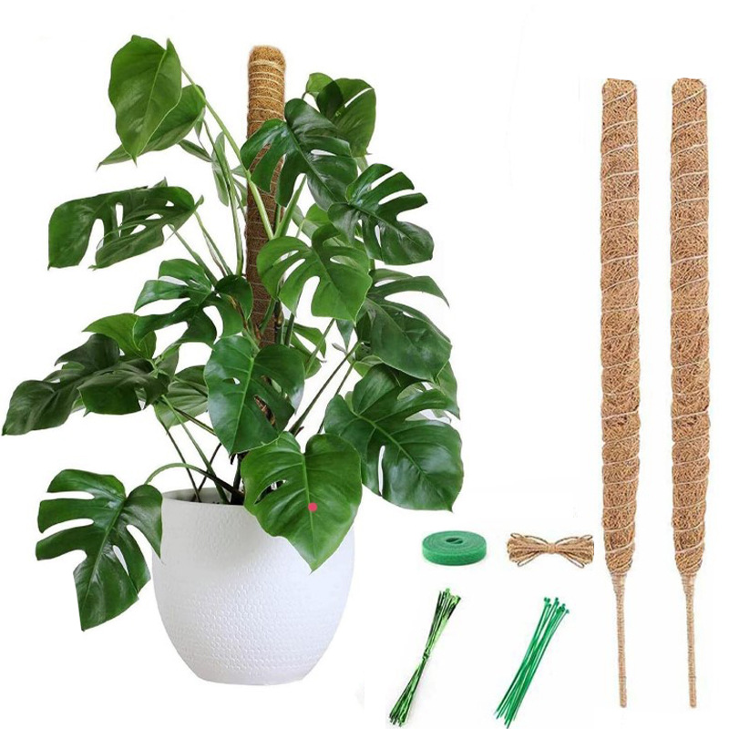 New green radish support tool Moss Rod flexible plant support pile hemp rope bottom coconut palm stick gardening bracket