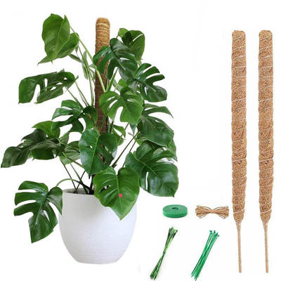 New green radish support tool Moss Rod flexible plant support pile hemp rope bottom coconut palm stick gardening bracket