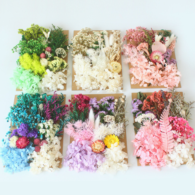 A5 bag dried flower eternal flower material package wholesale Amazon cross-border embossed dried flower DIY handmade floral gift