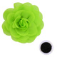 Fruit Green