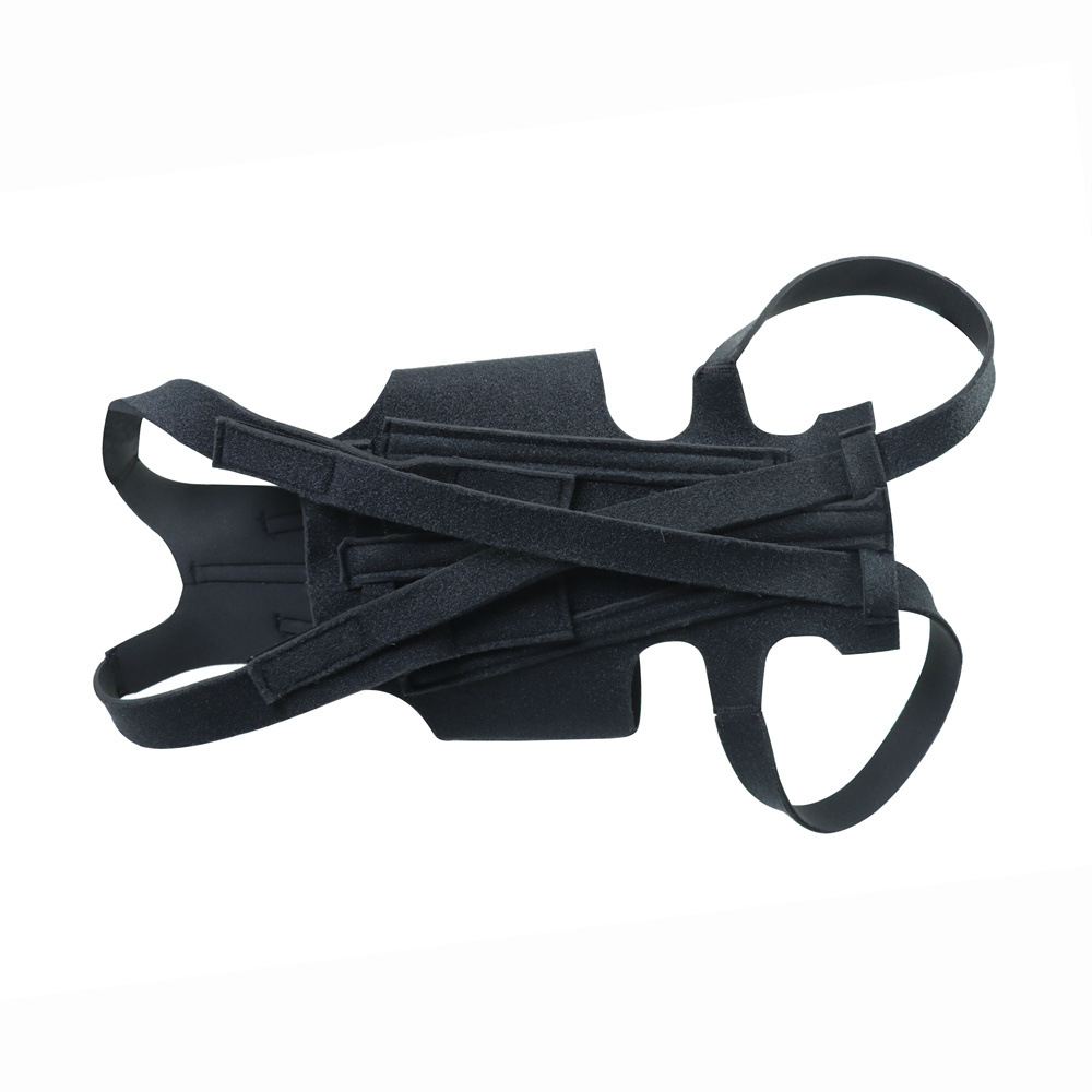 Amazon Explosions Dog Back Support IVDD Relieve Back Pain Relief Pain Injury Support Dog Vest