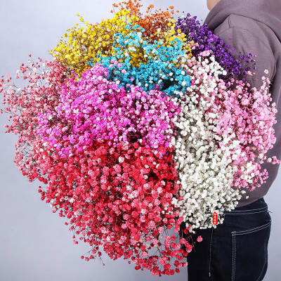 Eternal Flower Gympani Dried Flower Wholesale Valentine's Day Flower Material Gift Birthday Gift Large bouquet of real flowers