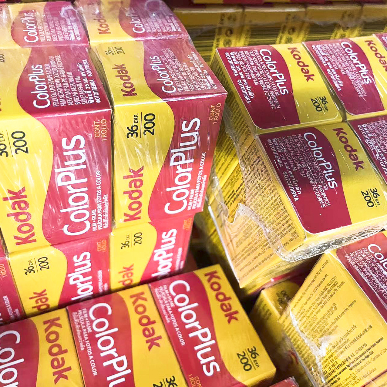 American original Kodak Easy shot COLORPLUS CP 200 135 color film negative wholesale