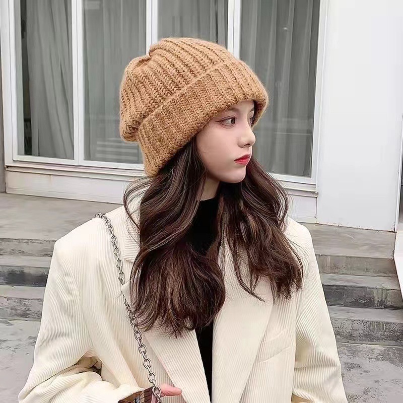 Thick needle South Korea wool pile hat women's autumn and winter versatile knitted hat warm ear protection loose hat cold hat wholesale