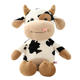 other product image