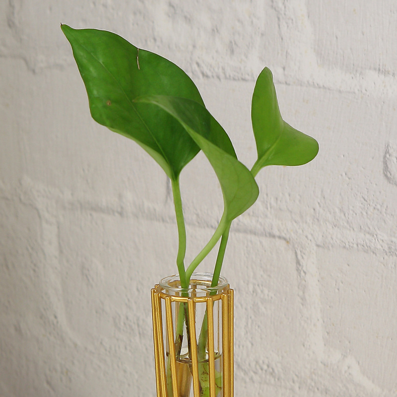 Wholesale Nordic Iron Gold Small Diameter Vase Ornaments Living Room Desktop Decorations Hydroponic Glass Tube Utensils