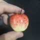 Mini Pink Apple