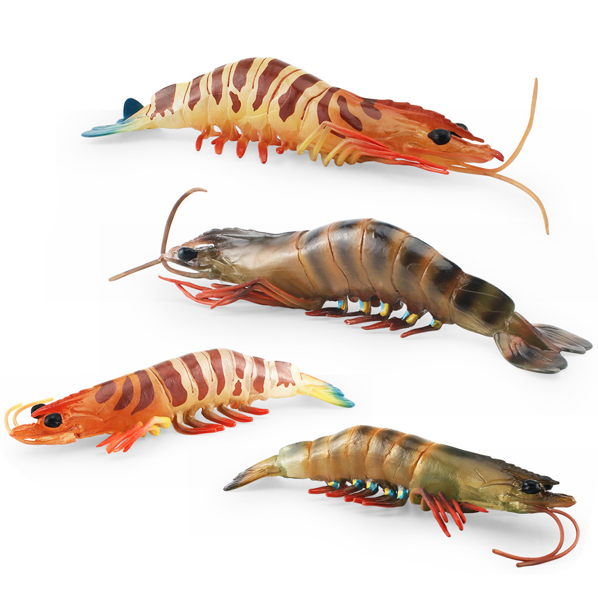 跨境仿真海洋生物蝦模型水生虎蝦班節對蝦玩具桌面靜態擺件裝飾品