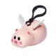 Flying Pig