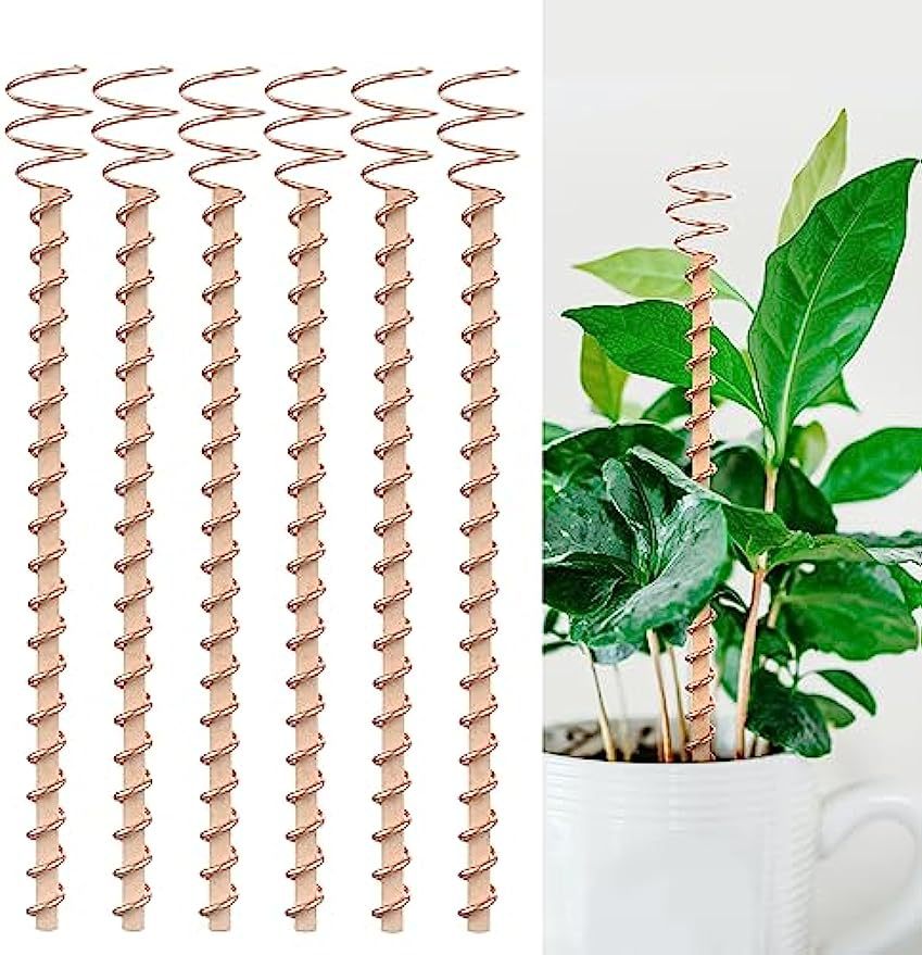 Electroculture plant pile, electroculture gardening plantation plant copper coil antenna electroculture copper antenna coil vegetable