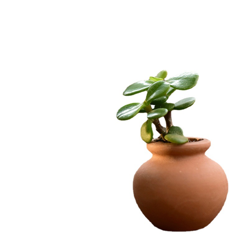 Super Mini Pocket Thumb Fleshy Seedling Leaf Insert Ceramic Flower Pot Fleshy Flower Pot Round Pot