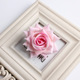 Medium B Pink