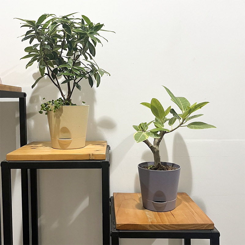 Small pot flower pot plastic desktop planting self-absorbent succulent bamboo mini breathable pot lazy pot wholesale