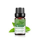 Single: mint Peppermint 10ml