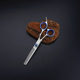Blue finger ring tooth scissors [ordinary]]
