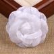 23#-white -5.5cm