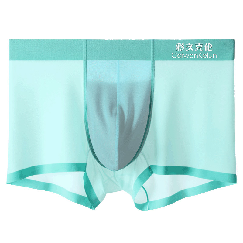 Men's underwear boxer ice silk seamless breathable transparent sexy ultra-thin summer youth νck pants wholesale