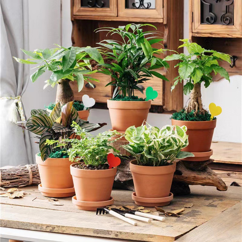 Factory direct red pottery flowerpot fleshy flowerpot ceramic flowerpot breathable water absorption strong red clay flowerpot