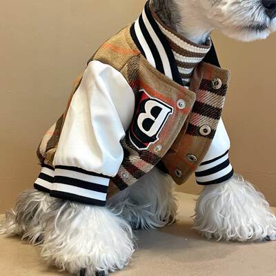 Dog Clothes Winter Wool Fadou Schanery Bears Teddy Chai Dog Pet Hair Thickened Jacket Coat