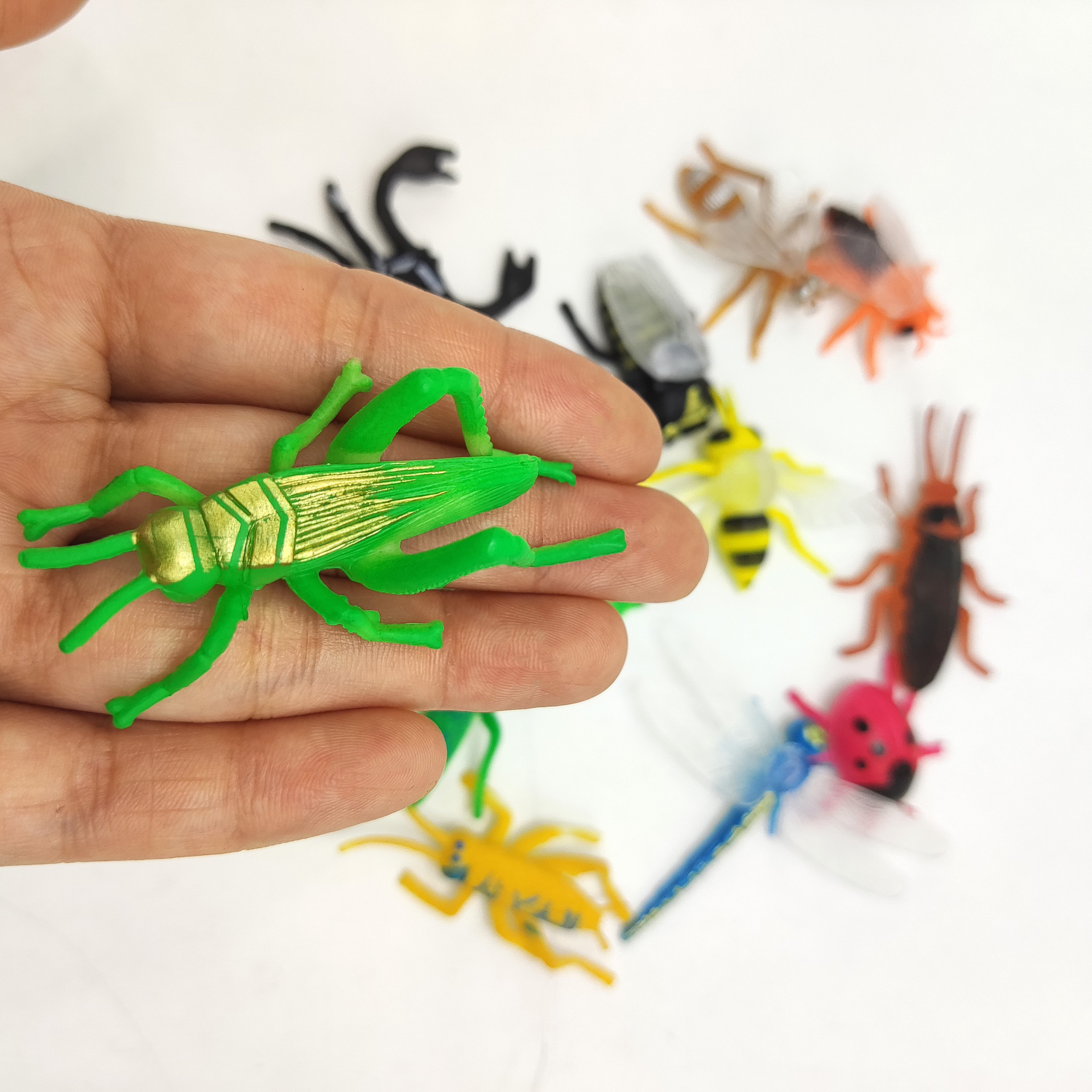 12 simulation small insect model mini educational cognitive children's toys mantis model children's toys cross-border