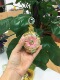 Sand steamed bun flower red flower 15ml