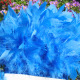 No.20 Medium Blue