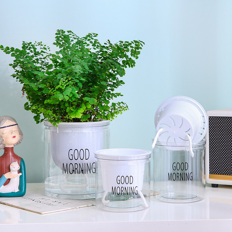 Automatic absorbent transparent lazy basin factory direct creative round office desktop green plant hydroponic plastic flower pot