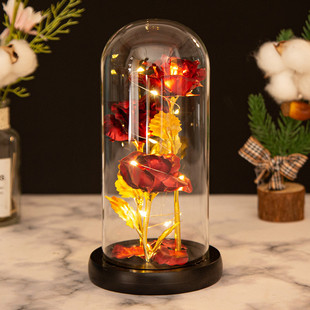 Three Glass Cover Gold Foil Rose Flower Ornaments Creative Christmas Valentine's Day Gift Eternal Flower LED Night Light Wholesale