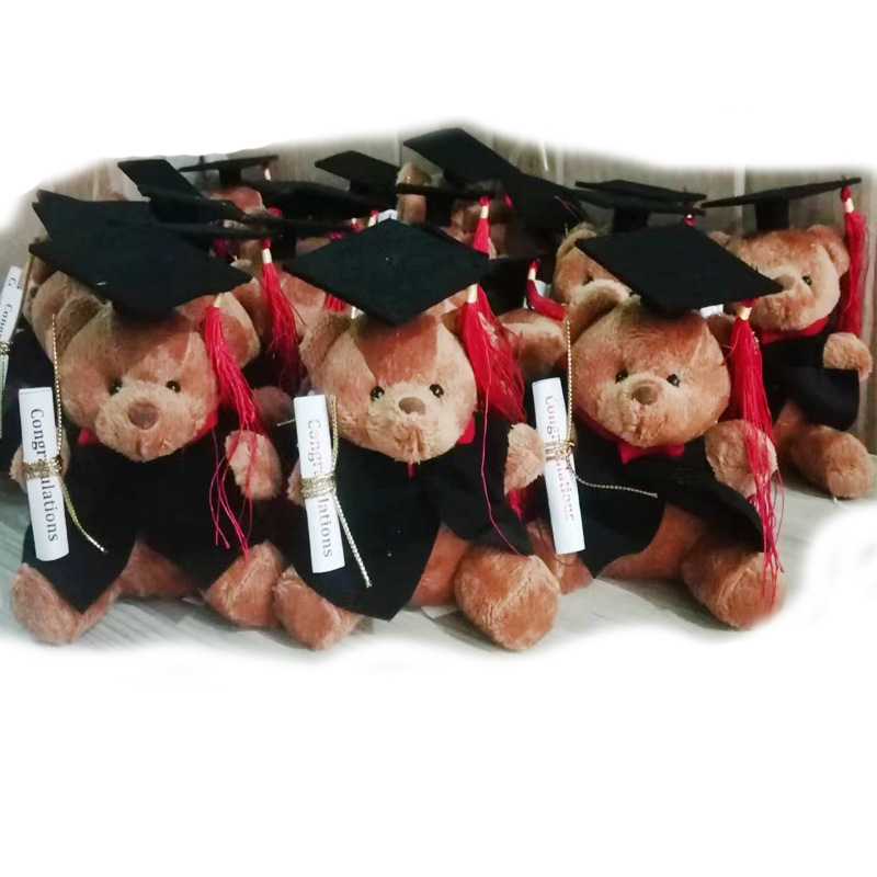 12cm plush doctor bear doll graduation bear doll bear Class of 2019 or congratulations