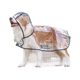 Pet Amazon cross-border Big Dog transparent outdoor raincoat golden retriever Labrador border animal dog clothes
