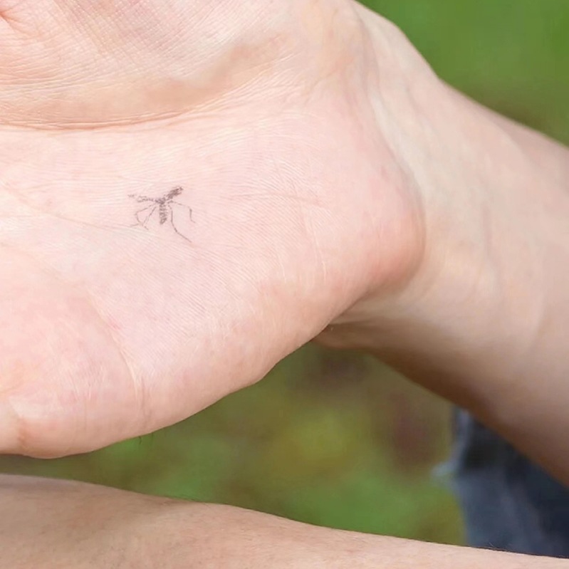 Dead Mosquito Stamp Mosquito Body Toy Slap Dead Mosquito Slap One Mosquito Slap Fans Slap Extractor